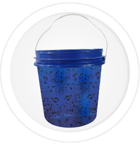 Armadilha para Mosca Mosca Doméstica, Varejeira e de Estábulo